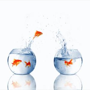  The Greatest Organic Organic Treatment For Premature Ejaculation 